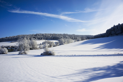 Schneelandschaft im Schwarzwald