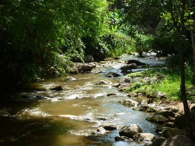 Fluss in Thailand Fluss in Thailand