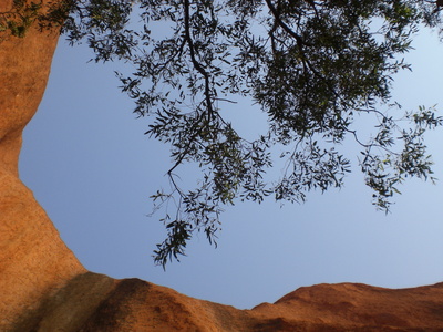 Detailaufnahme Uluru in Australien / Foto: Alexander Hauk