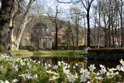 Frühling im Schlosspark Pillnitz