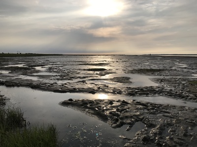 Wattwanderung am Abend Wattwanderung am Abend