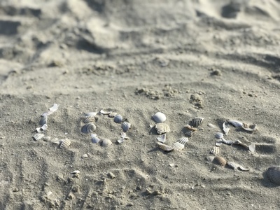 Love: aus Muscheln am Strand Love: aus Muscheln am Strand