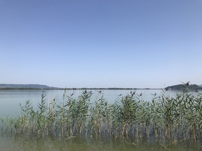 Blick über den Kochelsee in Oberbayern Blick über den Kochelsee in Oberbayern