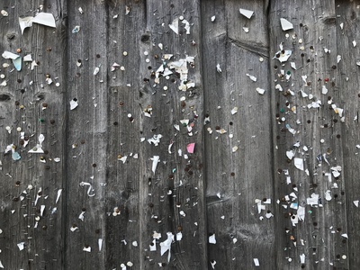Plakatreste an einer Holzwand / Foto:Alexander Hauk