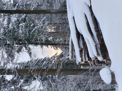 Stimmungsbild im verschneiten Schwarzwald