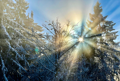 Sonnendurchbruch im Winterwald