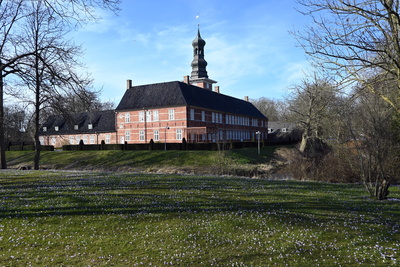 Husumer Schloß bei der Krokusblüte 2