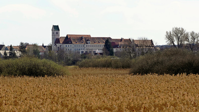 Federsee - Kloster Bad Buchau