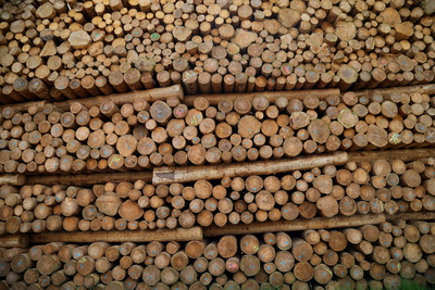 Holzverarbeitung