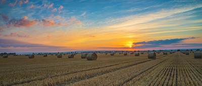 Sonnenaufgang im Vorharz