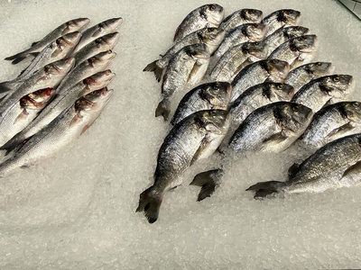 Fische auf Eis / Foto: Alexander Hauk