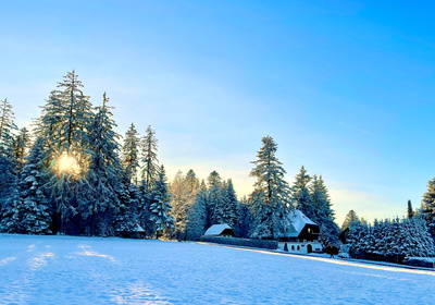 Schwarzwald-Winter mit Nachmittags-Sonne