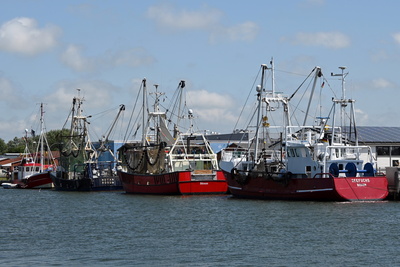 Krappenfischer im Büsumer Hafen