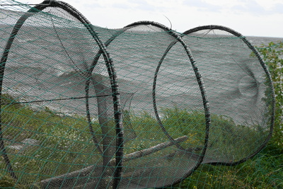 Fischernetz am Haff
