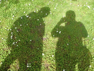Schattenbilder auf grüner Wiese