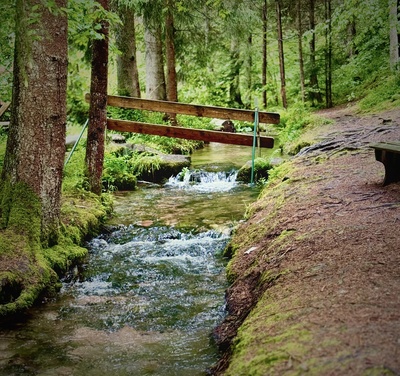 Waldbach mit Brücke