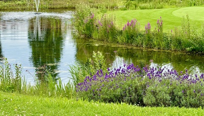 Idylle am Teich