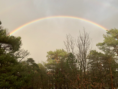 Regenbogen am Selmaplatz