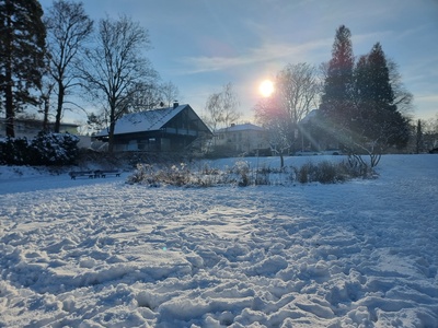 Winterliches  Siebengebirge