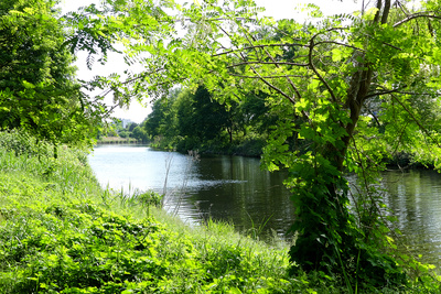 Teltowkanal mit Ufer