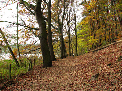 Herbst am Schlachtensee