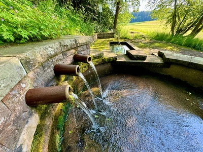 Quellbrunnen mit Tretanlage