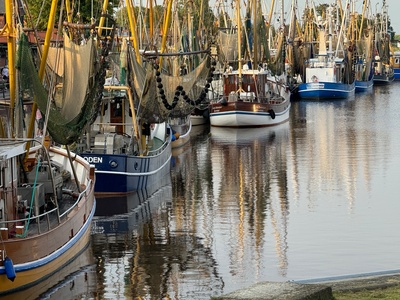 Greetsiel Hafen mit Hummerkuttern_2