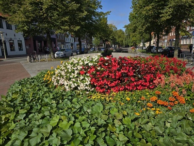 Blumige Verkehrsinsel