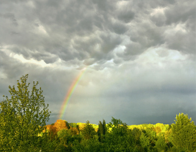 Regenbogen