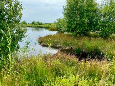 Moorsee bei Schloss Lütetsburg