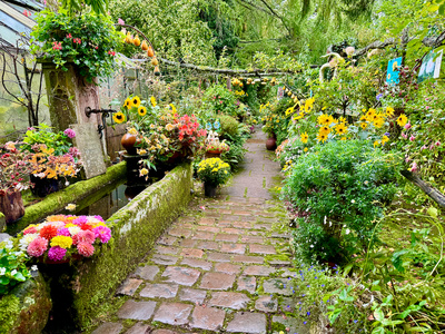 Gartenfreude im Herbst