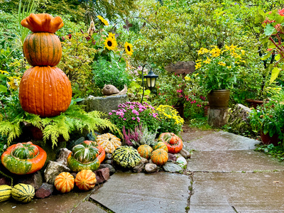 Gartenfreude im Herbst_2