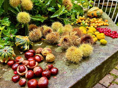 Gartenfreude im Herbst_3