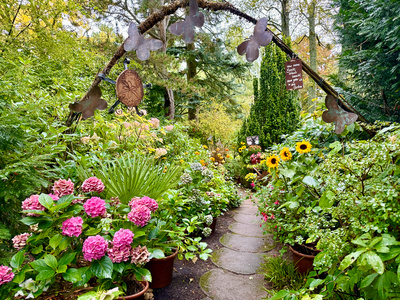 Gartenfreude: Willkommen in meinem Garten