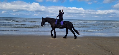 Einmal kurz an den Strand