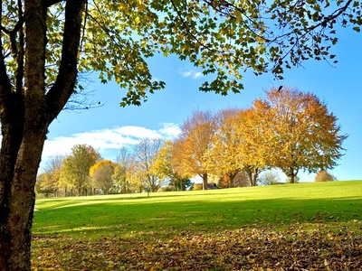 Der Herbst blüht auf…