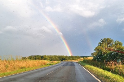 Wald mit Regenbogen