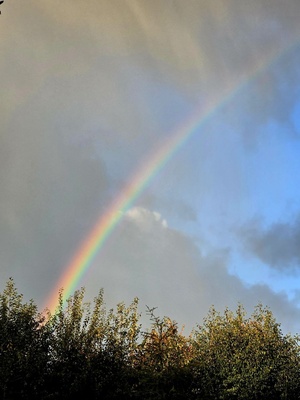 Ein Regenbogen