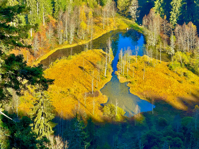 Ellbachsee von Aussichtskanzel