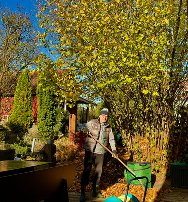 Herbstlaub im Garten 1