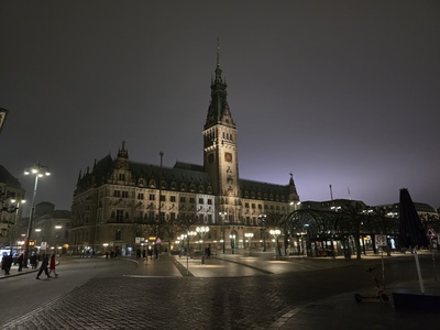 Rathaus in Hamburg