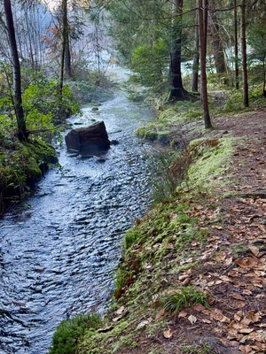 Waldbach im Dezember