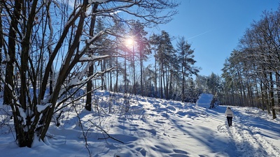 Winterwanderung