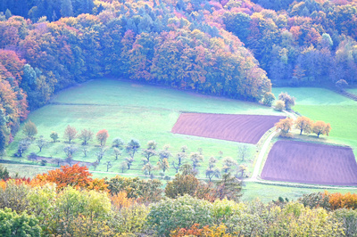 Herbst an der Burg Giechburg