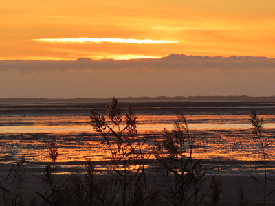 Lieblingsplatz an der Nordsee