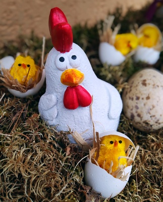 Huhn mit Küken Huhn mit Küken
