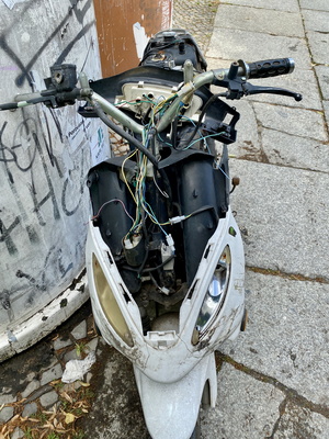 Scooter Schrott