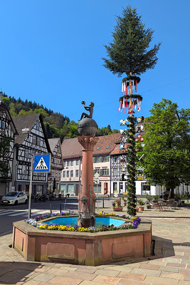 Maibaum 2025 zu Neuenbürg Maibaum 2025 zu Neuenbürg