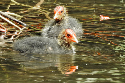 erster Tag auf dem Wasser erster Tag auf dem Wasser