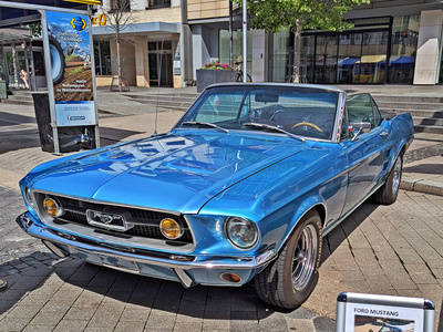 Ein Mustang braucht Benzin kein Hafer! Ein Mustang braucht Benzin kein Hafer!